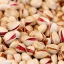 پسته صادراتی عمده مرغوب درجه یک